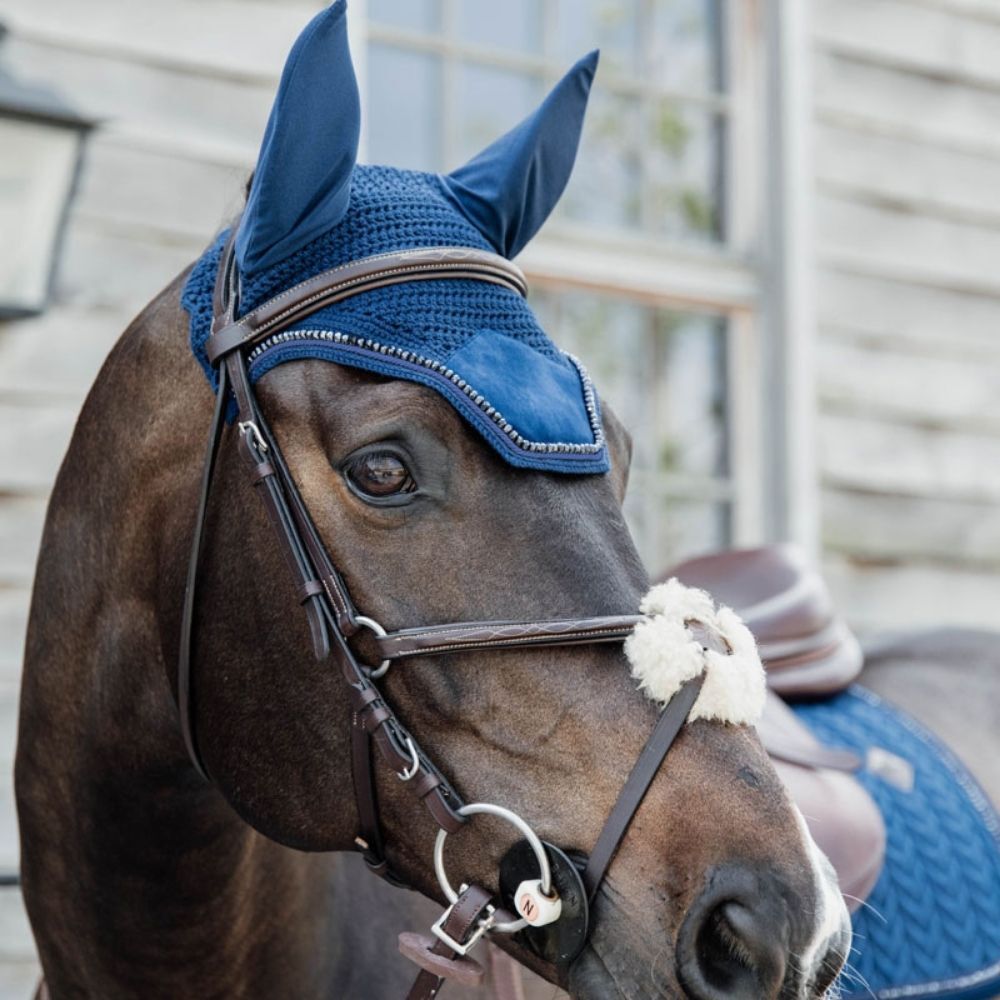 Horse wearing Blue Navy Kentucky Fly Veil and Kentucky Saddle Pad