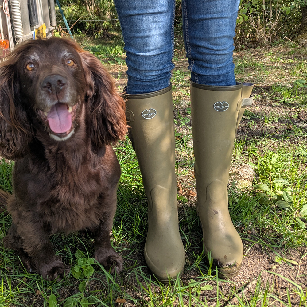 Close up of green Le Chameau Ladies Vierzonord Neoprene Lines Wellington Boots with dog in field
