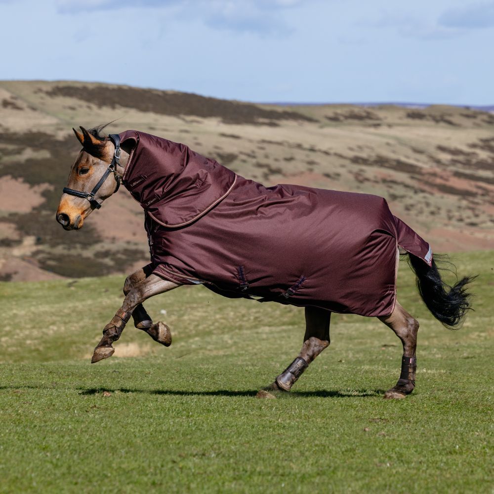 LeMieux Horse Collection Autumn Winter 2026 Arika 600D Ripstop Turnout Rug 0g in Bramble