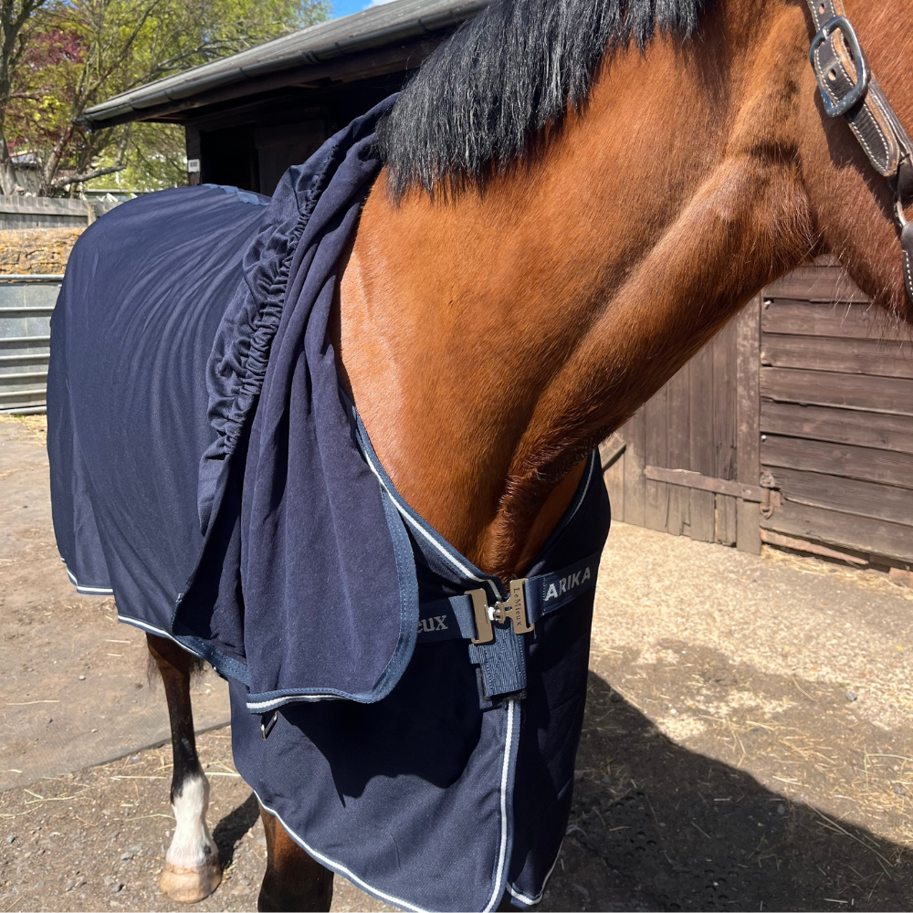 LeMieux Arika DryEase Drying Rug on a horse after bathing With Hood Down LeMieux Arika DryEase Drying Rug on a horse after bathing With Hood Down