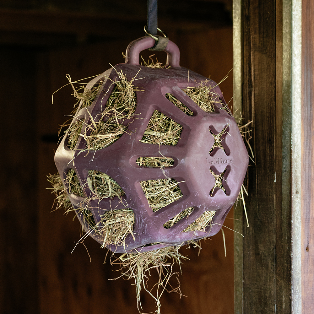 LeMieux Hay Ball hanging in a stable ready for a horse to use LeMieux Hay Ball hanging in a stable ready for a horse to use