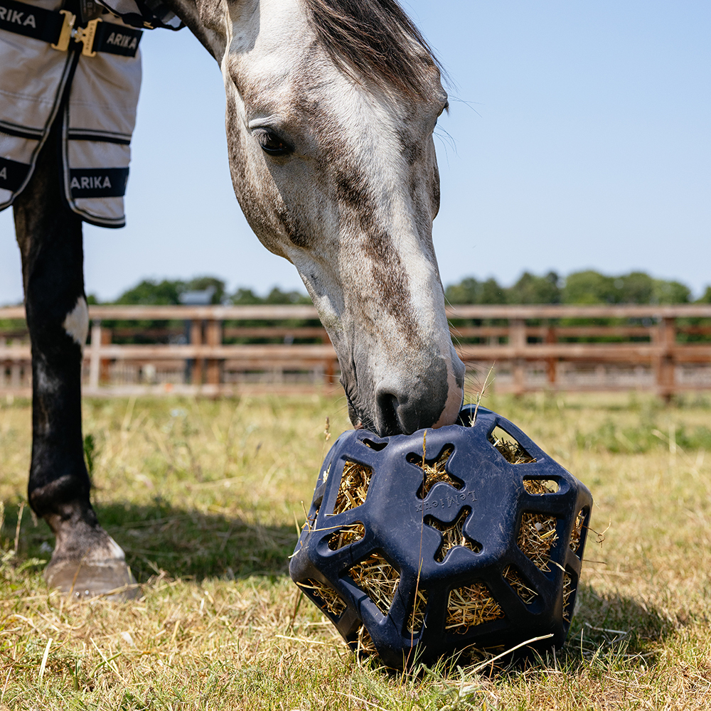 LeMieux Hay Ball used in the field as a horse slow feeder and enrichment toy LeMieux Hay Ball used in the field as a horse slow feeder and enrichment toy