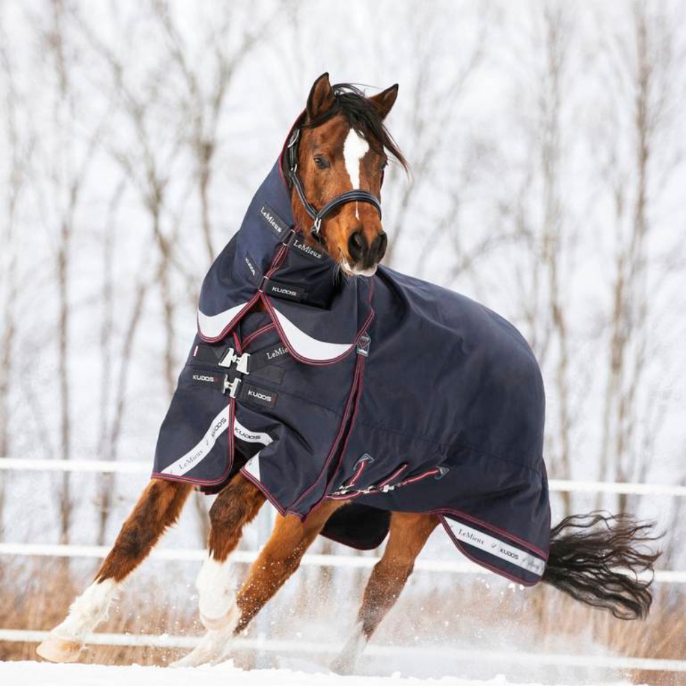 Horse in snow wearing LeMieux Kudos 200g Rug 