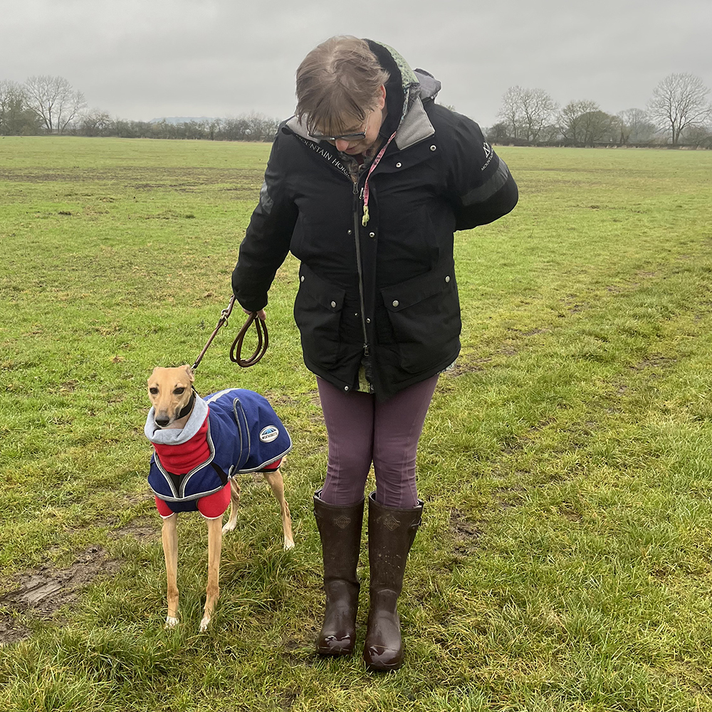 Woman reviewing LeMieux Stride Wellington Boots Walking Dog in Field