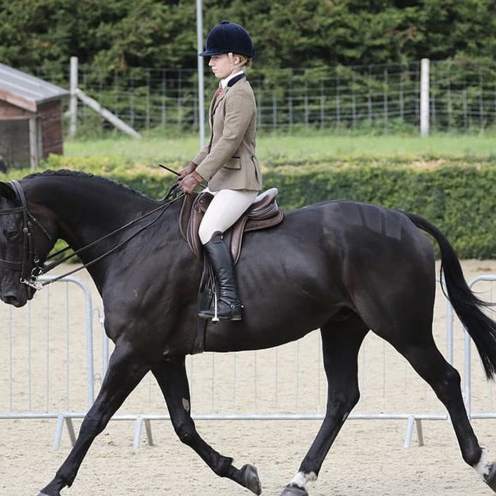 What to wear for a hunter class at a horse show