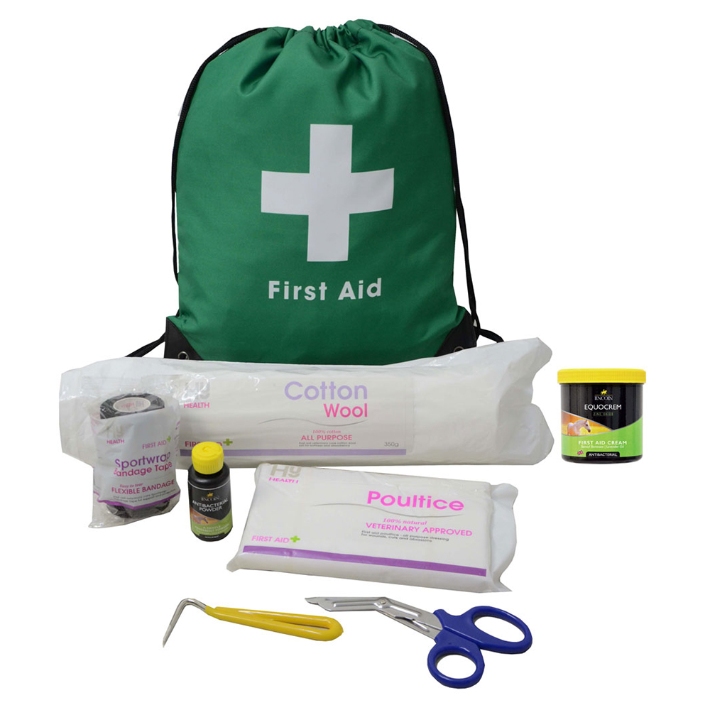 Horse travel first aid kit 