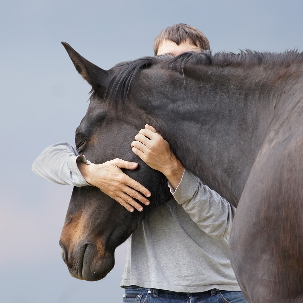 Man hugging horse 
