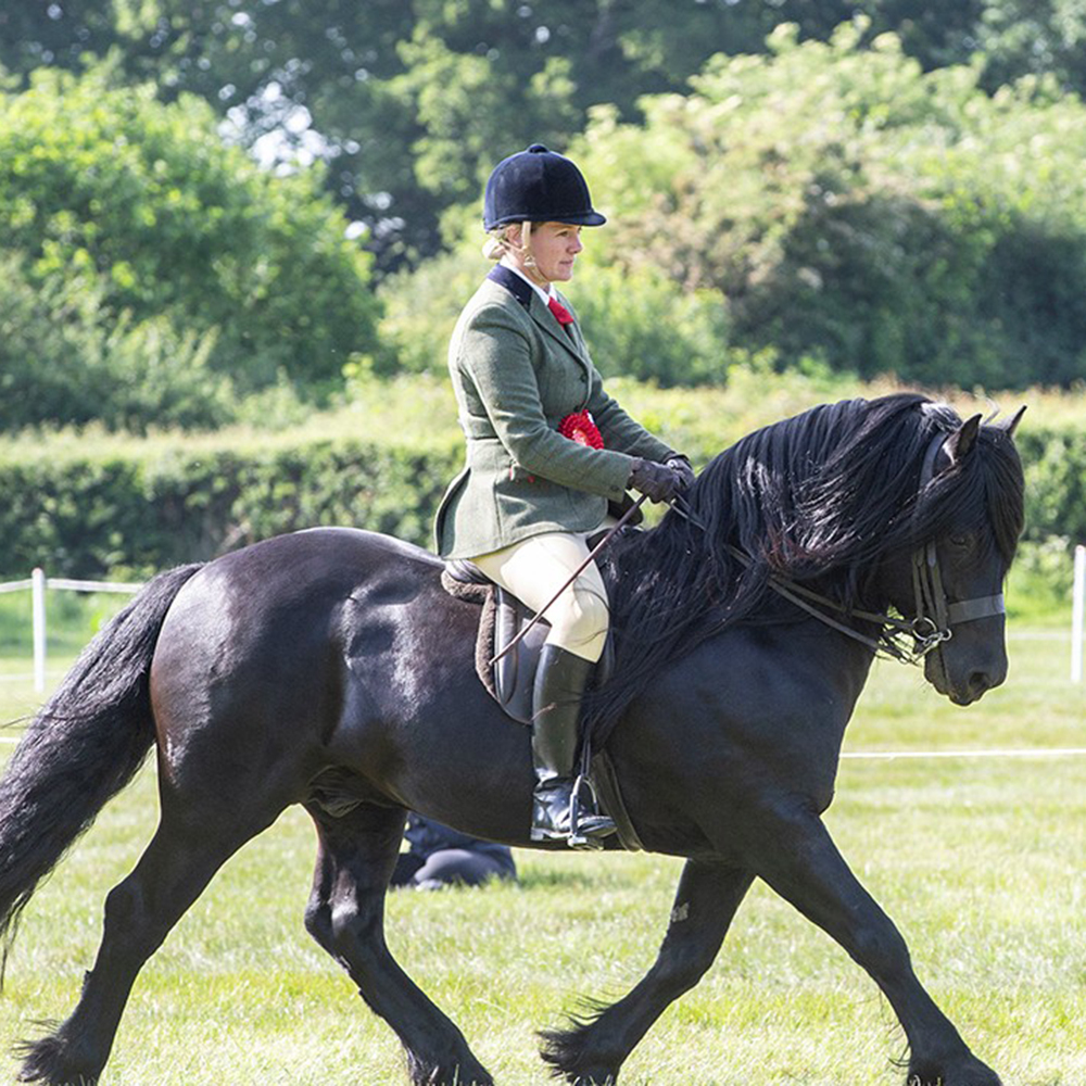 What you should wear for a Mountain and Moorland Class at a horse show
