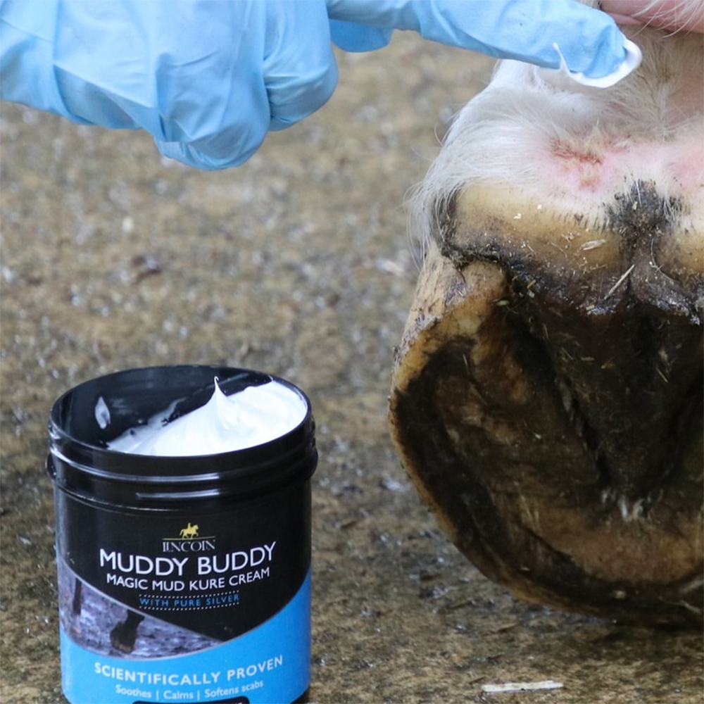 Muddy Buddy Mud Protection Cream applied to horse 's heel bulb