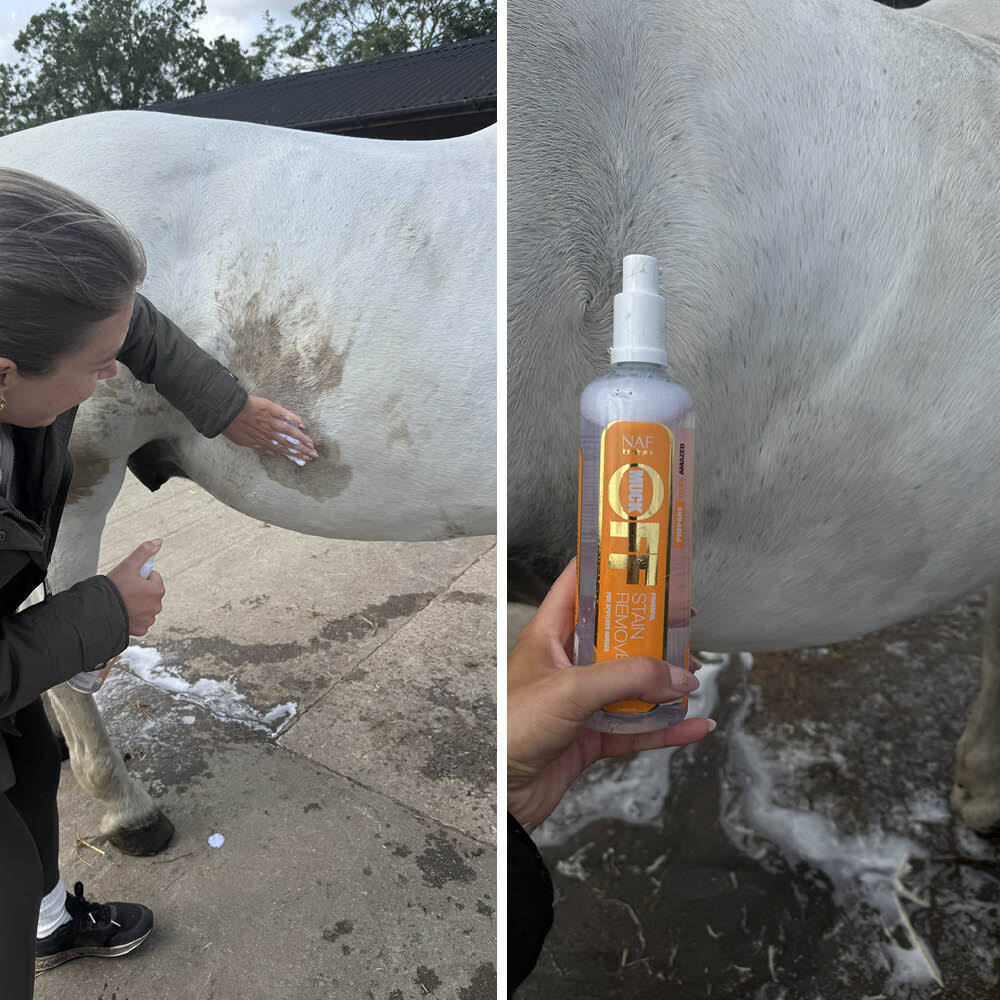 White horse before and after using NAF Stain Remover Spray