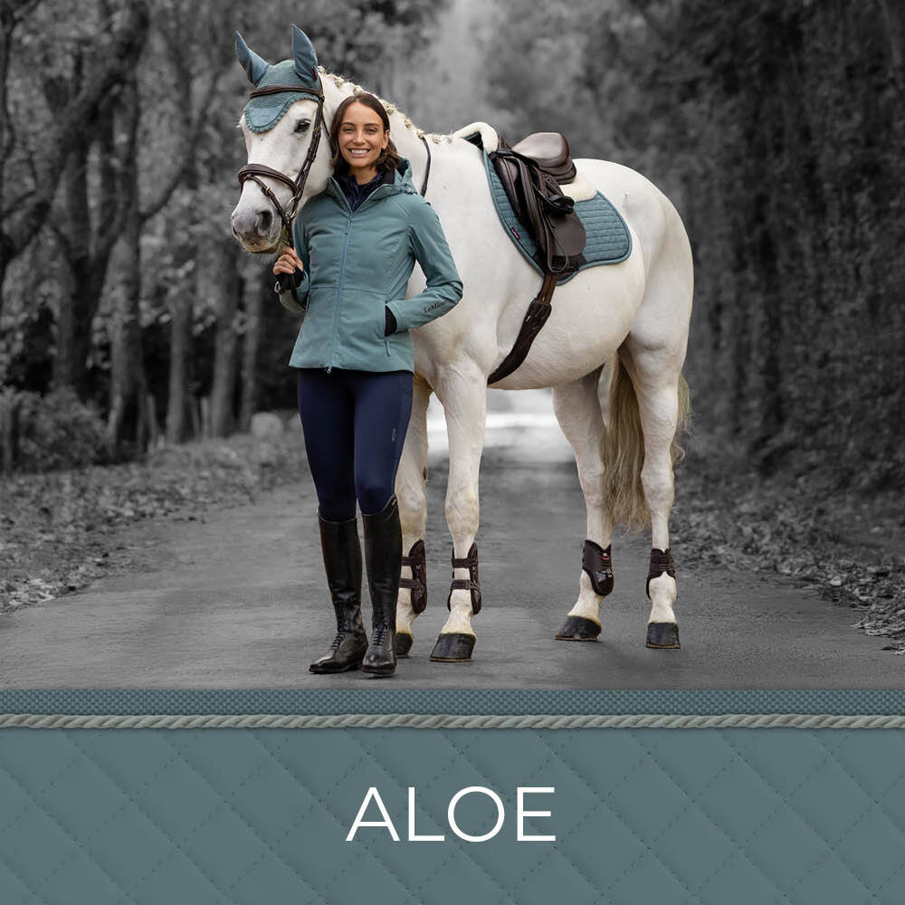 New LeMieux Aloe AW26 Colours