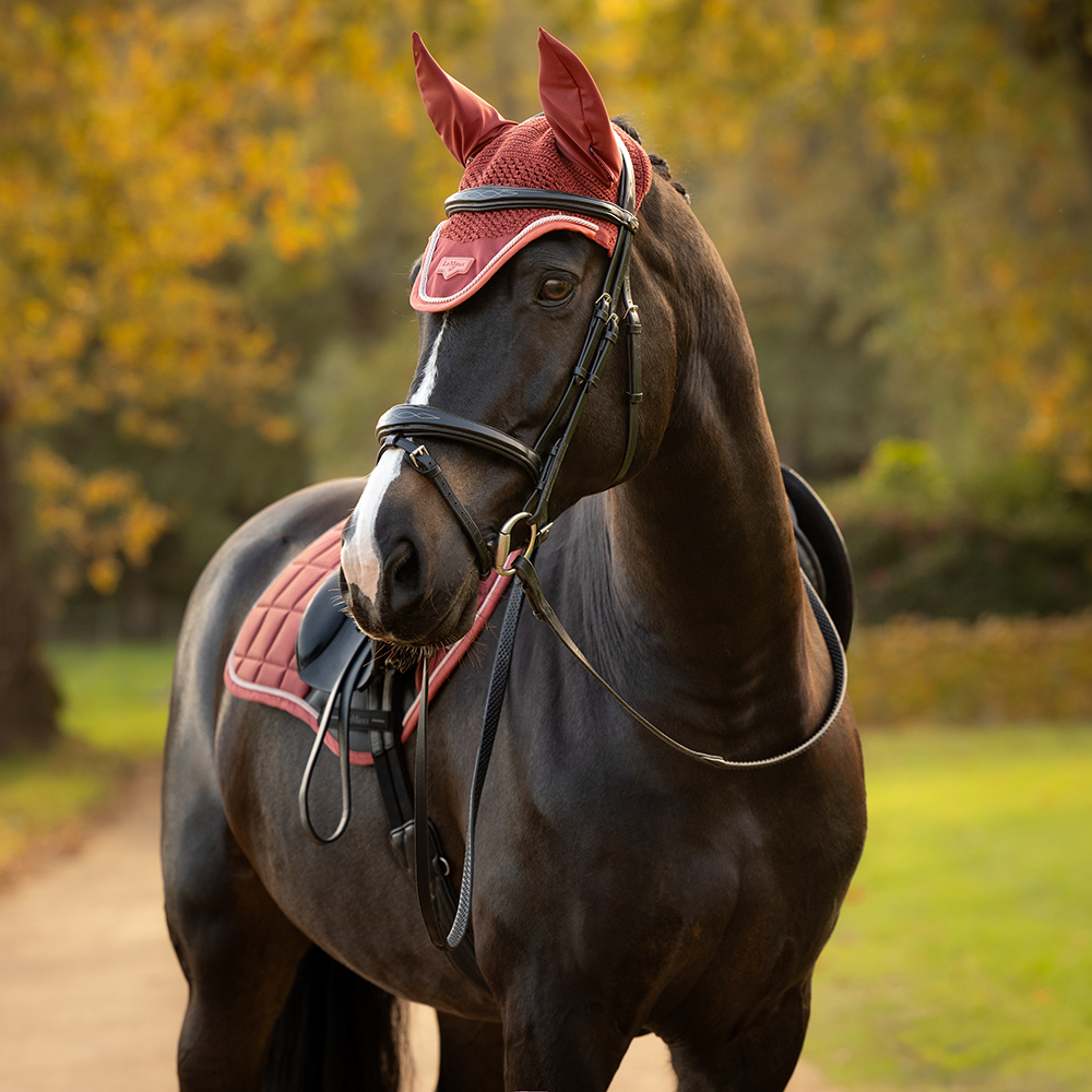 New LeMieux Colour AW26 Russet Loire Horse Saddle Pad & Fly Hood