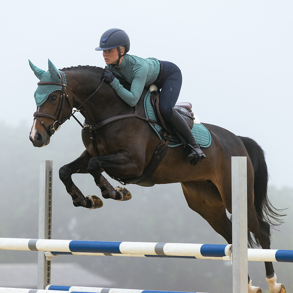 New LeMieux Colours AW26 Aloe Horse & Rider Collection