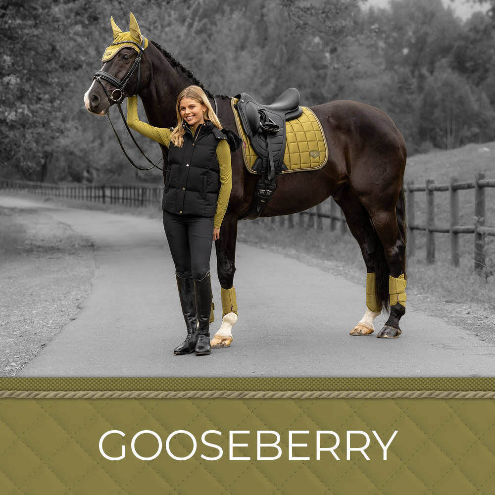 New LeMieux Gooseberry AW26 Colours