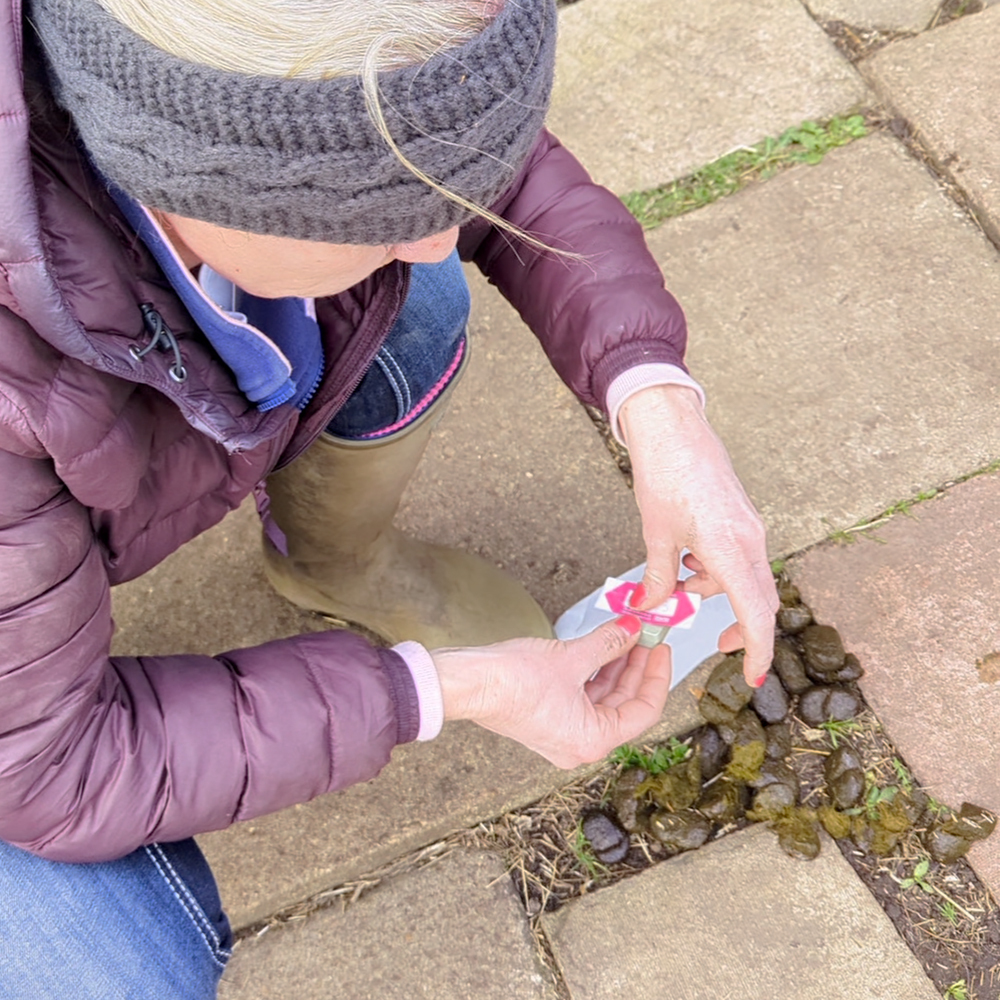 Labelling a worm egg count test kit with horse's name