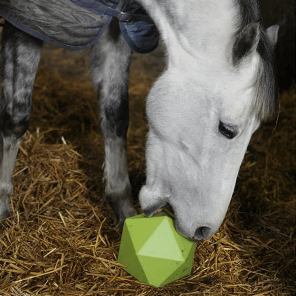 Grey horse in stable playing with green treat ball 