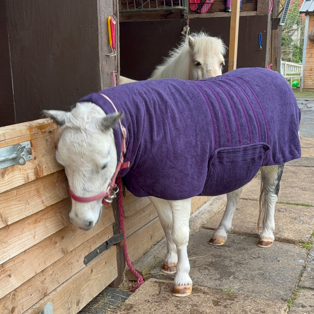 Ruff & Tumble Drying Coat used on miniature shetland pony Ruff & Tumble Drying Coat used on miniature shetland pony