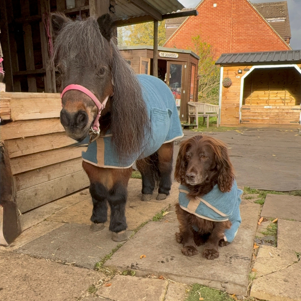 Ruff & Tuble Drying Rugs on Horse and Dog Ruff & Tuble Drying Rugs on Horse and Dog