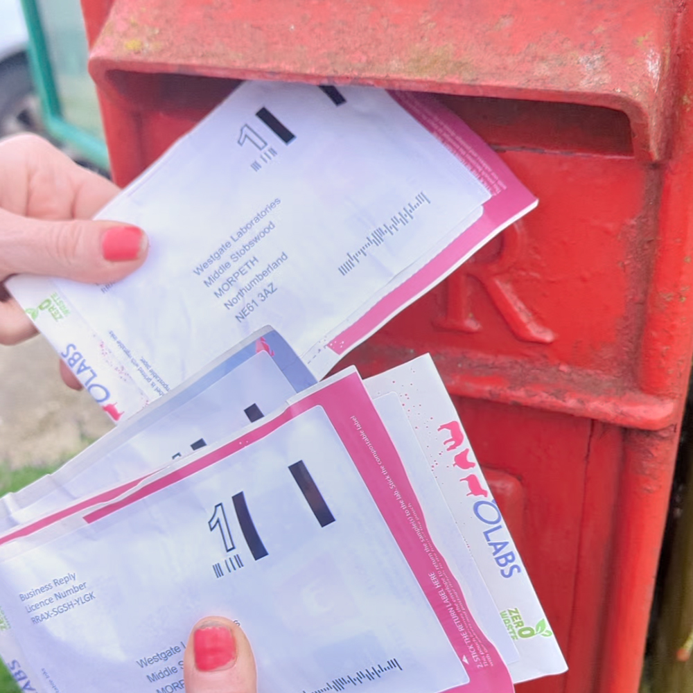 Sending horse worm egg count samples in post