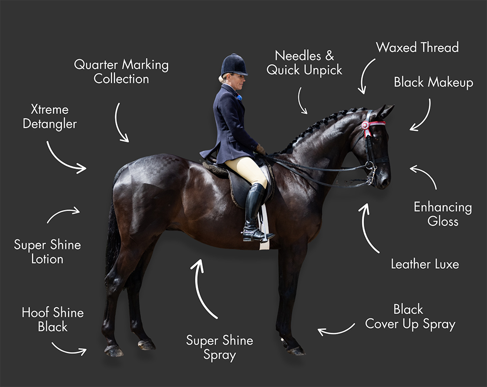 Show Hack Turnout for Horse with Smart Grooming Products