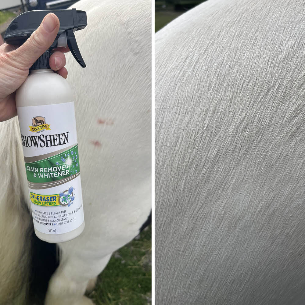 white horse before and after using Showsheen Stain Remover Spray