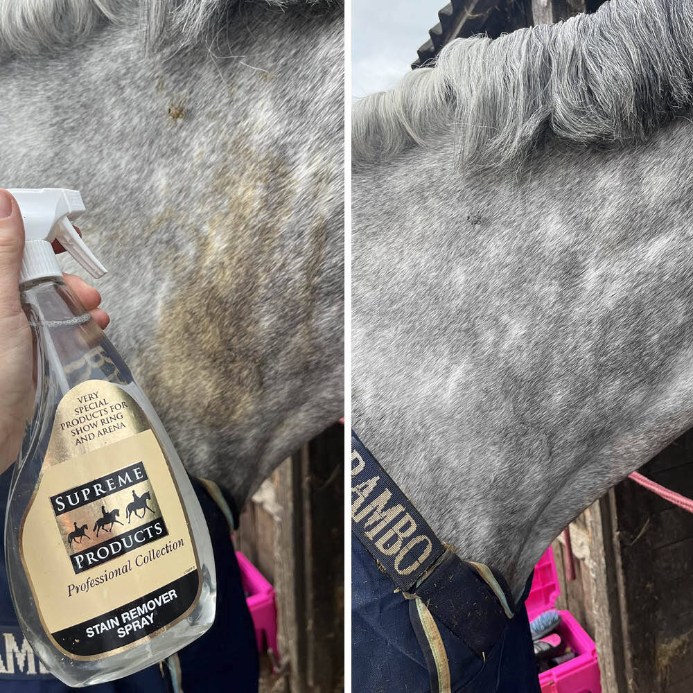 Image of horse shown before and after using Supreme Products Stain Remover Spray