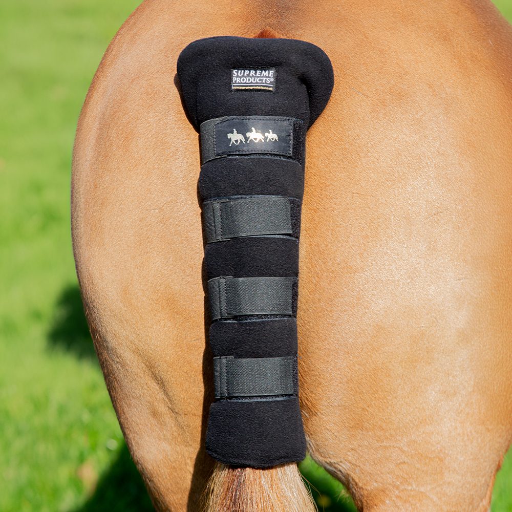 Rear of chestnut horse wearing protective black tail guard