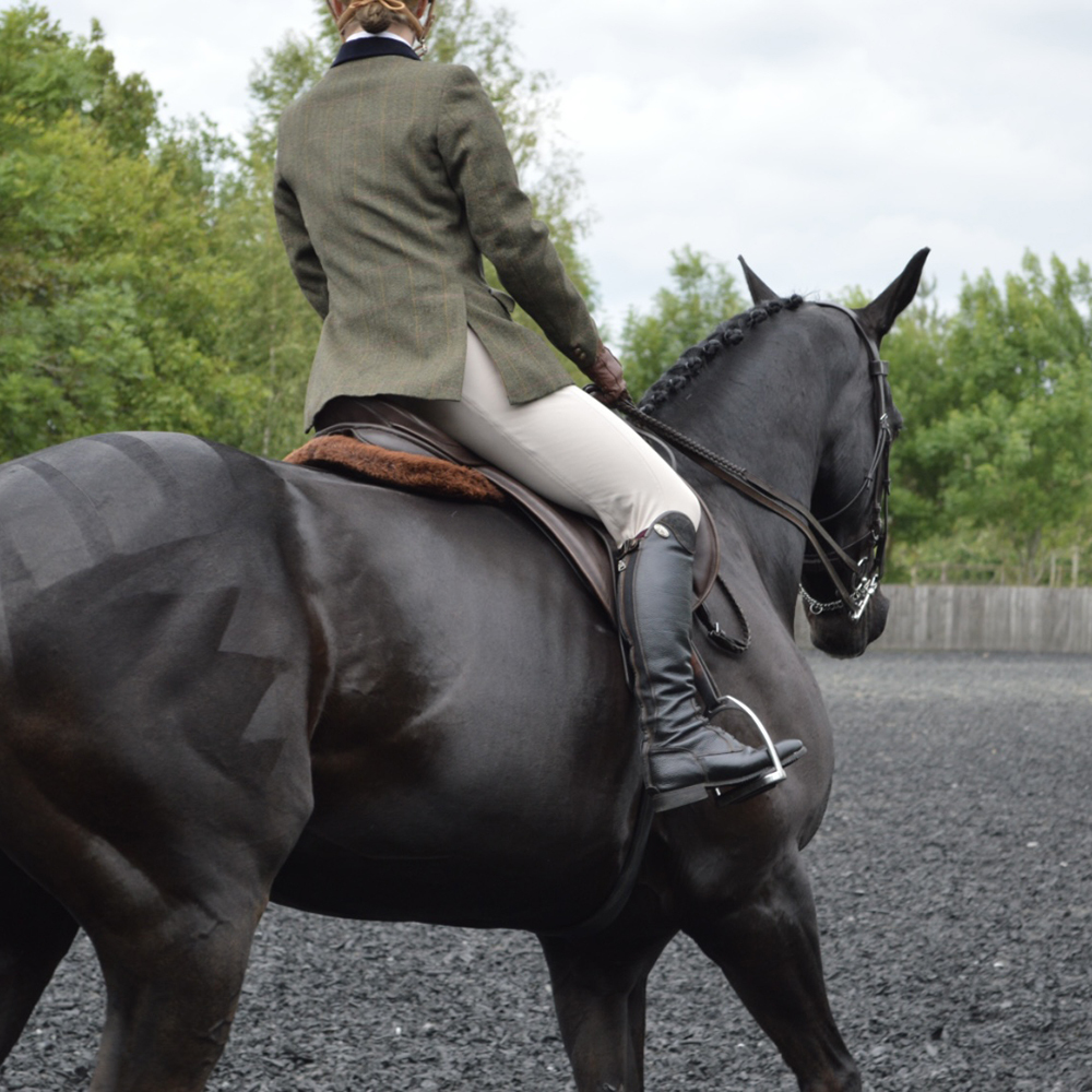 What to wear for a veteran class at a horse show