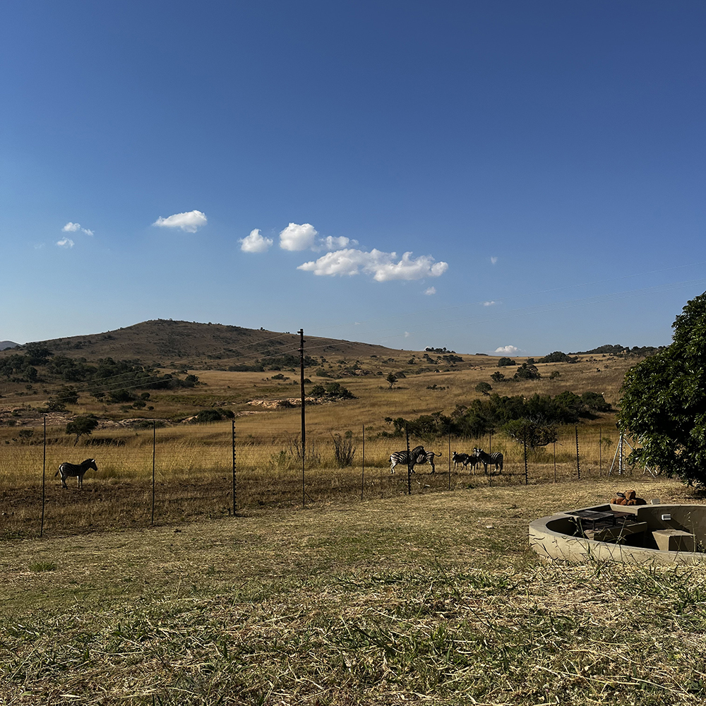 Scenic view of the African safari landscape during a horseback safari adventure