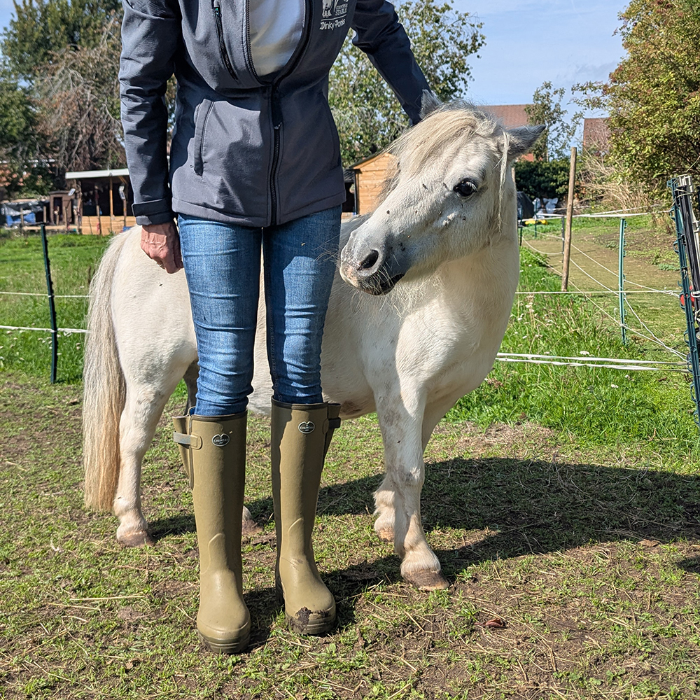 Woman in a field wearing Ladies Le Chameau Wellies next to a white shetland pony