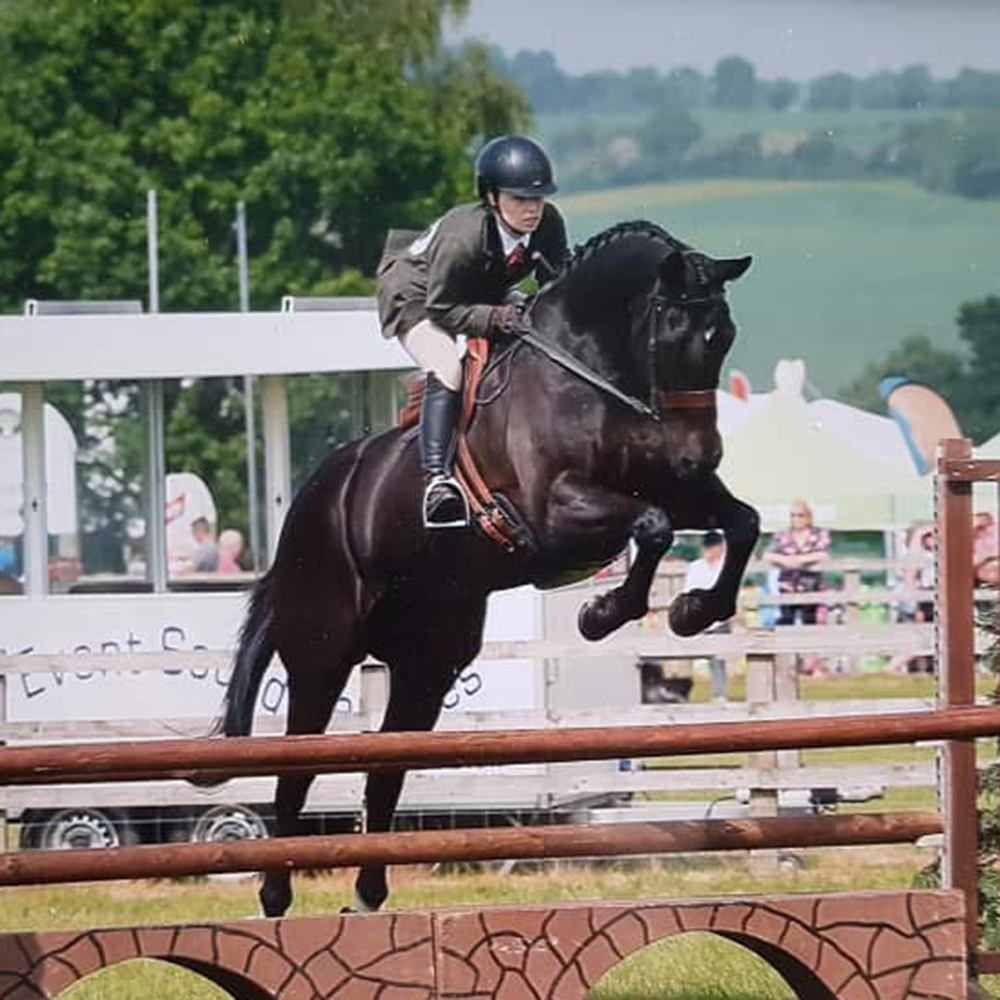 What to wear for a working hunter class at a horse show