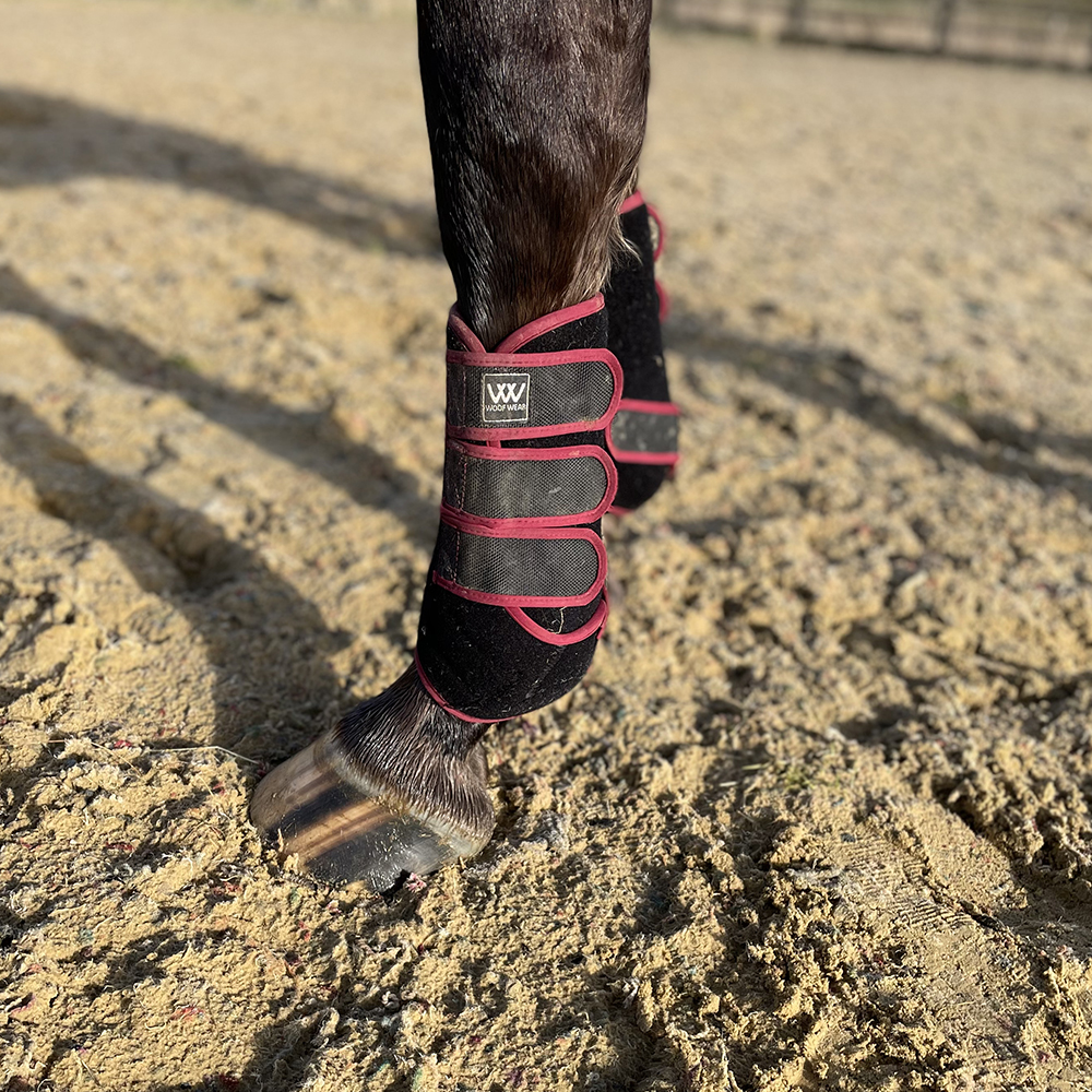 Review of Best Horse Schooling Boots Country and Stable of Olney