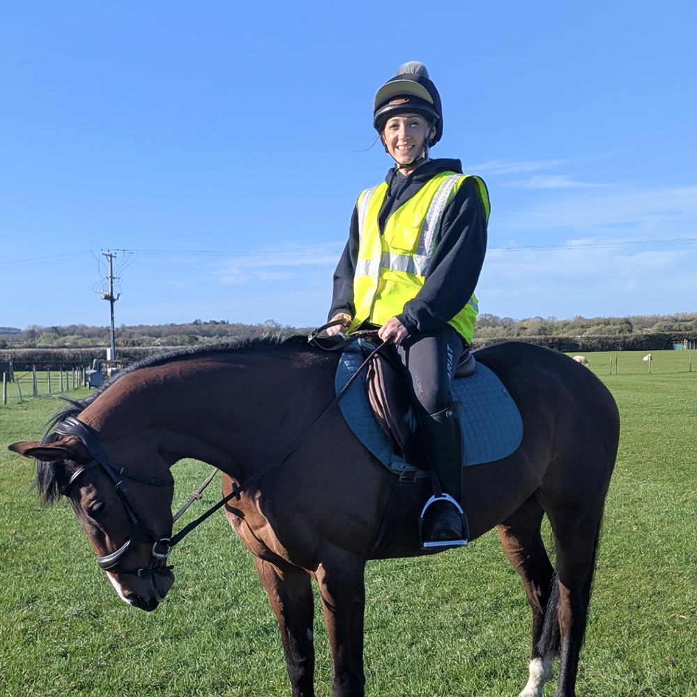 Young Thoroughbred stretching into the contact while wearing the Collegiate anatomical leather bridle.